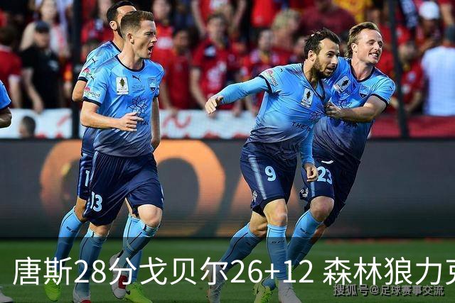 唐斯28分戈贝尔26+12 森林狼力克黄蜂4连胜
