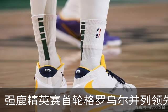强鹿精英赛首轮格罗乌尔并列领先 李昊桐窦泽成T21