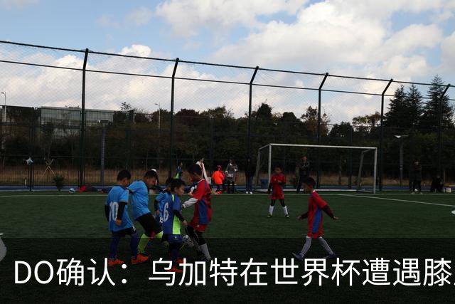 DO确认：乌加特在世界杯遭遇膝盖韧带重伤，预计面临长期缺阵